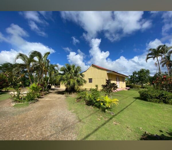 PUNTA CANA - HIGUEY CTY TOUR DISCOVERY OF THE DOMINICAN CULTURE - Image 3